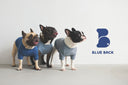 BLUE BACK ONLINE STORE OPEN