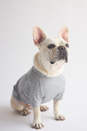 2 PACK RAGLAN TEE