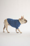2 PACK RAGLAN TEE