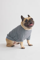 2 PACK RAGLAN TEE