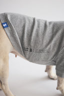 2 PACK RAGLAN TEE