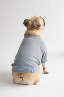 2 PACK RAGLAN TEE
