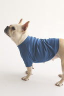 2 PACK RAGLAN TEE